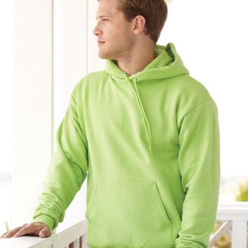 Hanes Ecosmart® Hooded Sweatshirt. P170