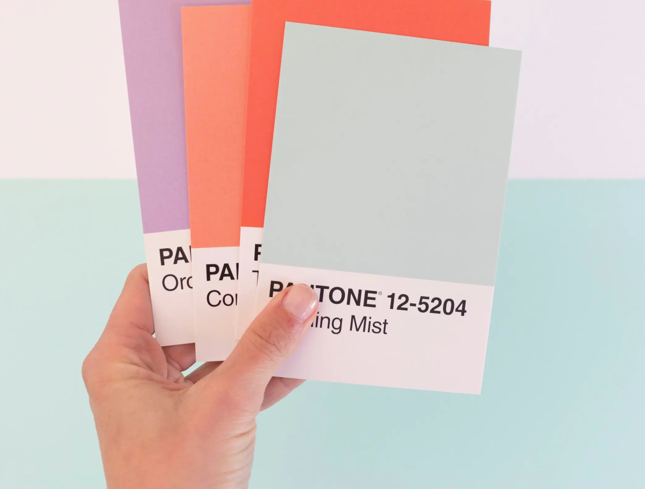 Color palette cards